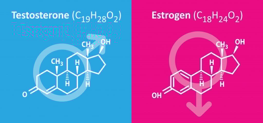Testosterone Estrogen structure