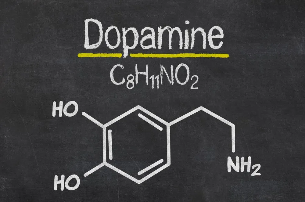 Is Dopamine Involved In Schizophrenia?