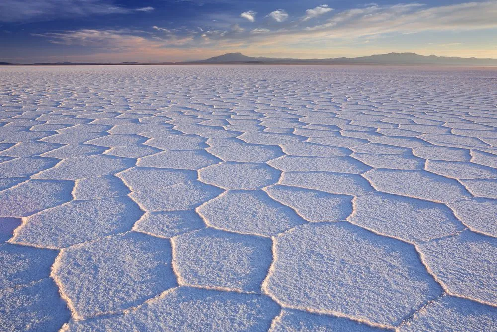 Why Do Salt Deserts Have Honeycomb Patterns?