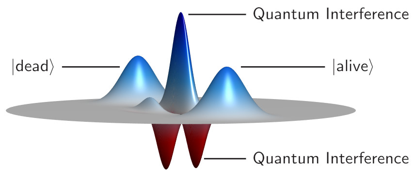 Cat-state-wigner-function