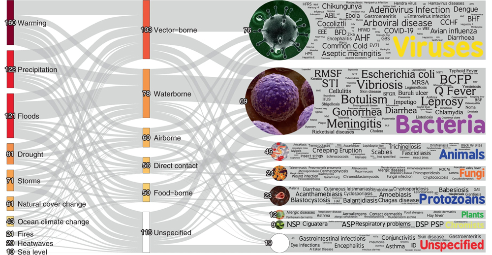 Pathogenic diseases aggravated by climatic hazards.