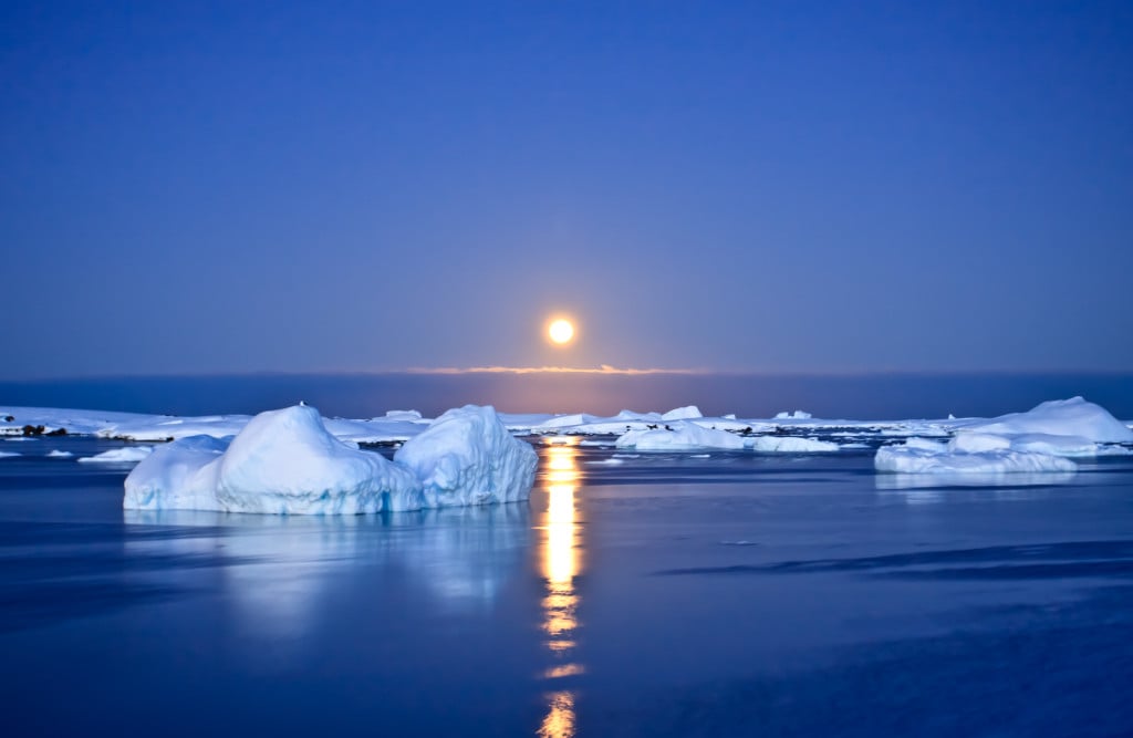 Summer night in Antarctica.Icebergs floating in the moonlight