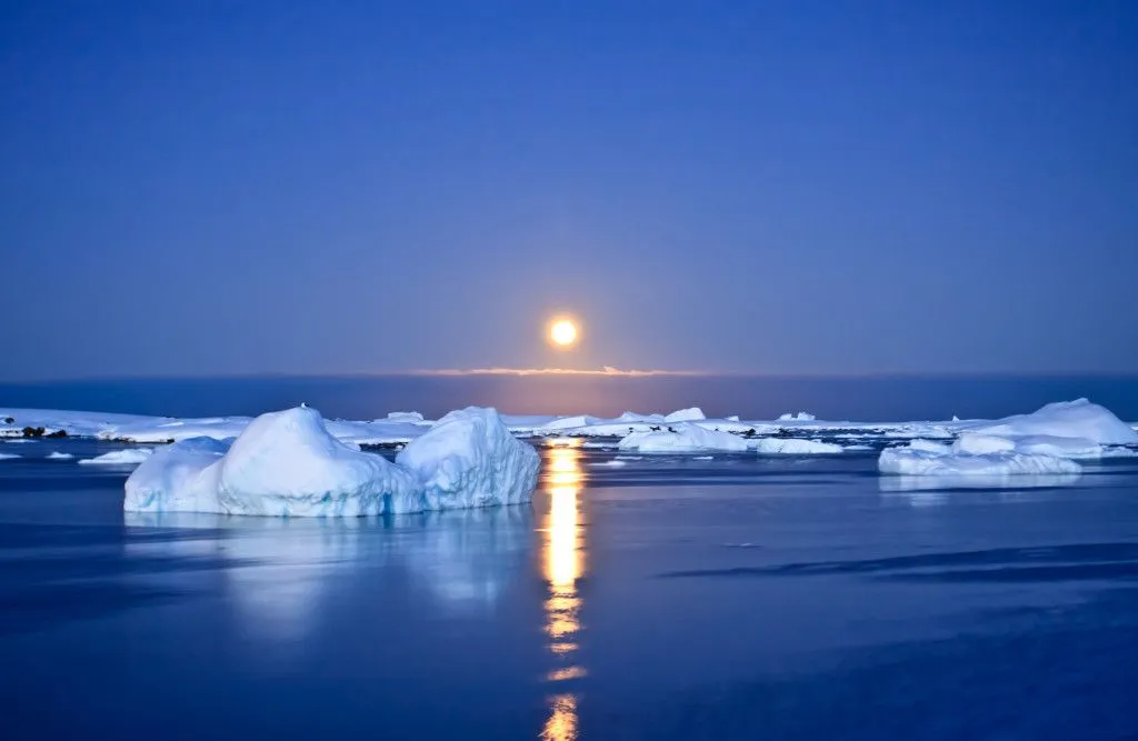 Summer night in Antarctica.Icebergs floating in the moonlight
