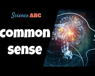 What Is Common Sense… Really?