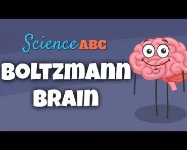 Boltzmann Brain Paradox Explained in Simple Words