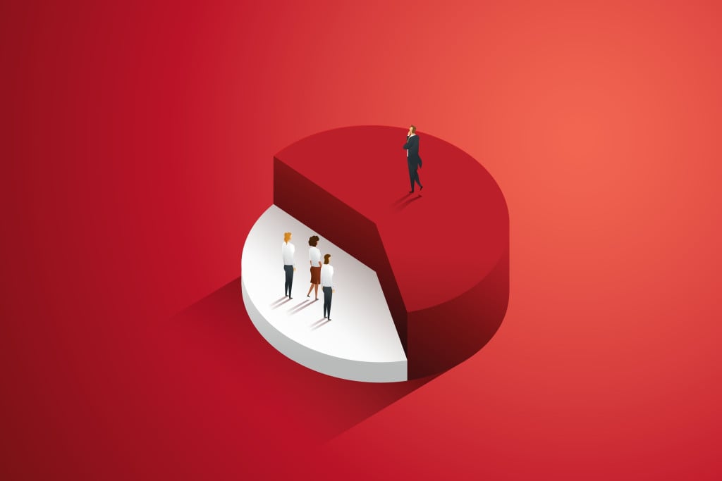 Difference in income gender inequality between men and women Different proportions of income or profits on pie charts with disproportionate proportions