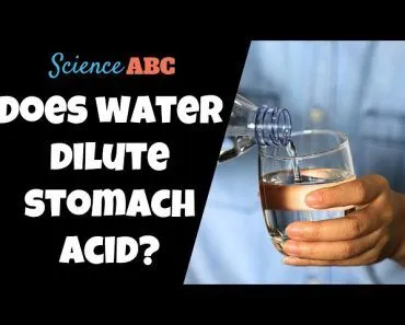 Is Your Stomach Acid (Gastric Acid) Diluted When You Drink Water?