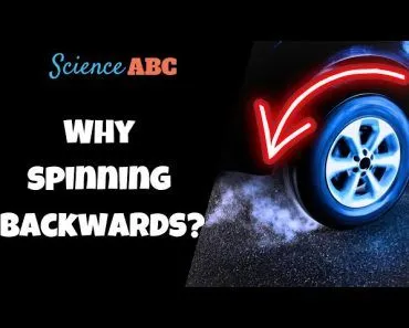 Why Do Wheels Appear to Spin Backwards (at High Speeds)?