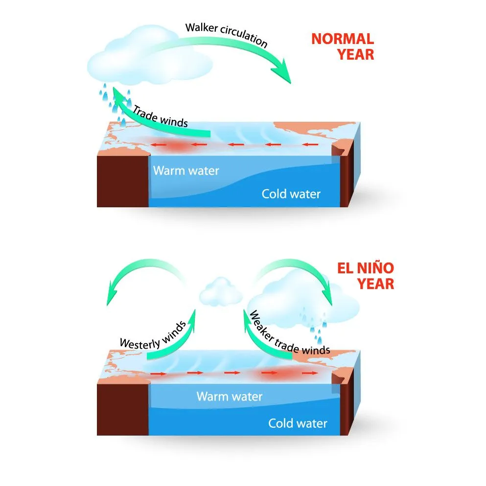 El Nino involves changes in wind direction over the Pacific, resulting in unusual weather conditions around the world (Credit: Designua/Shutterstock)