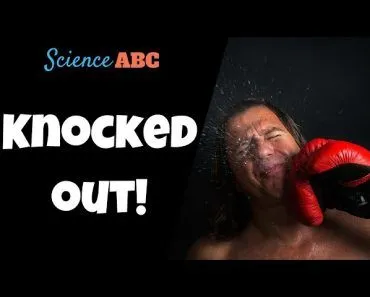 What Happens When You Get 'Knocked Out'?