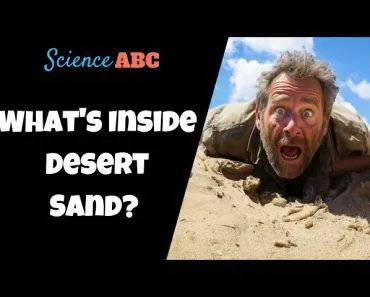 What Lies Beneath the Desert Sands?