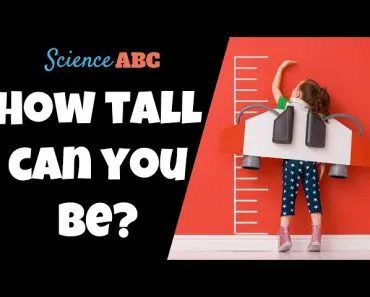 How Tall Can Humans Really Get?