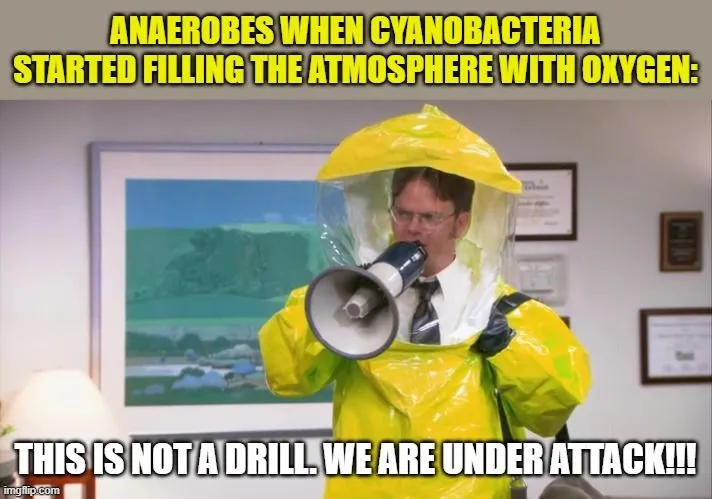 The time when oxygen almost killed everything