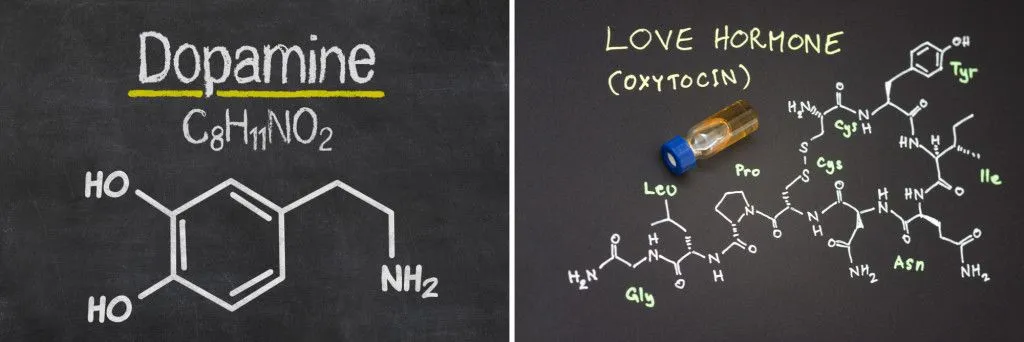 The molecular structures of dopamine and Oxytocin (Credits: Zerbor/Shutterstock and Rueangwit/Shutterstock)