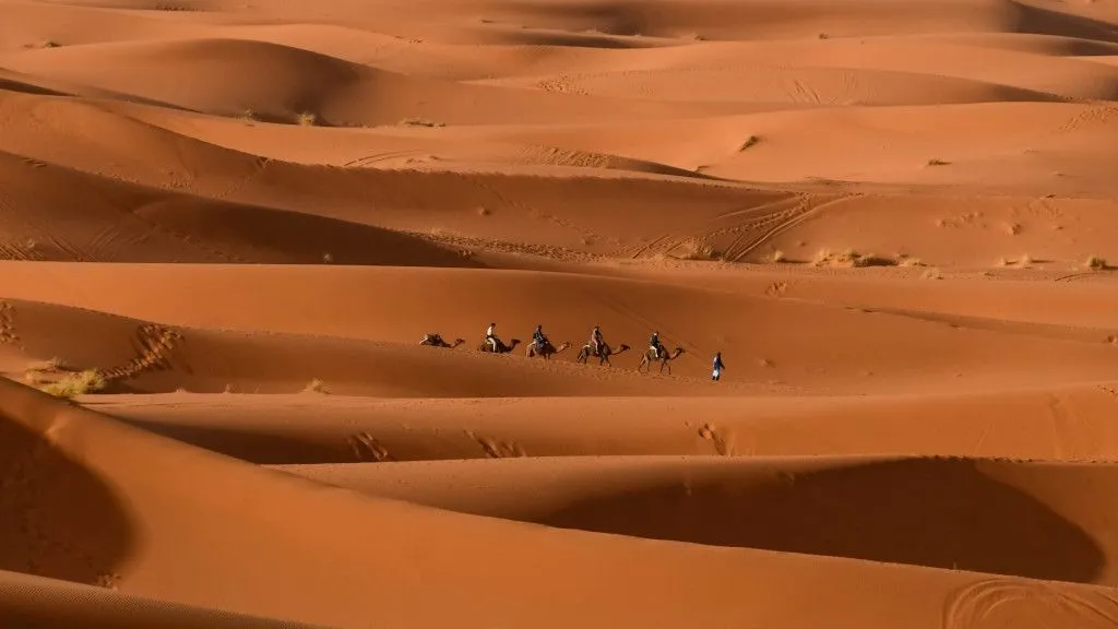 A group of Bedouins, the major nomadic community living in deserts, passing through Sahara Desert in Morocco (Credit: Houssain tork/Wikimedia Commons)