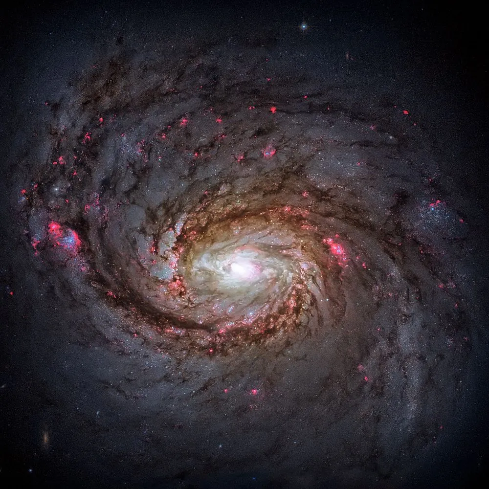 This is an image of the galaxy NGC 1068. Neutrinos from this galaxy were detected by the IceCube observatory in 2022. (Credits: NASA images/Shutterstock)