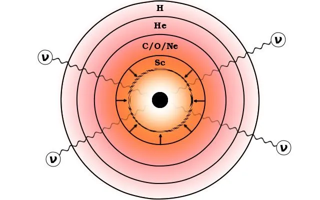 This is a diagram of the neutrinos emerging from the core of a star during its supernova explosion. Here, the neutrinos are represented by the Greek letter ‘ν,’ and the arrowheads pointing inwards surrounding the core, represent its collapse. (Credits: Wikimedia Commons)