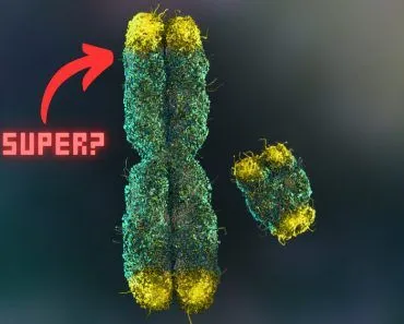 Is Superman Syndrome A Real Thing?