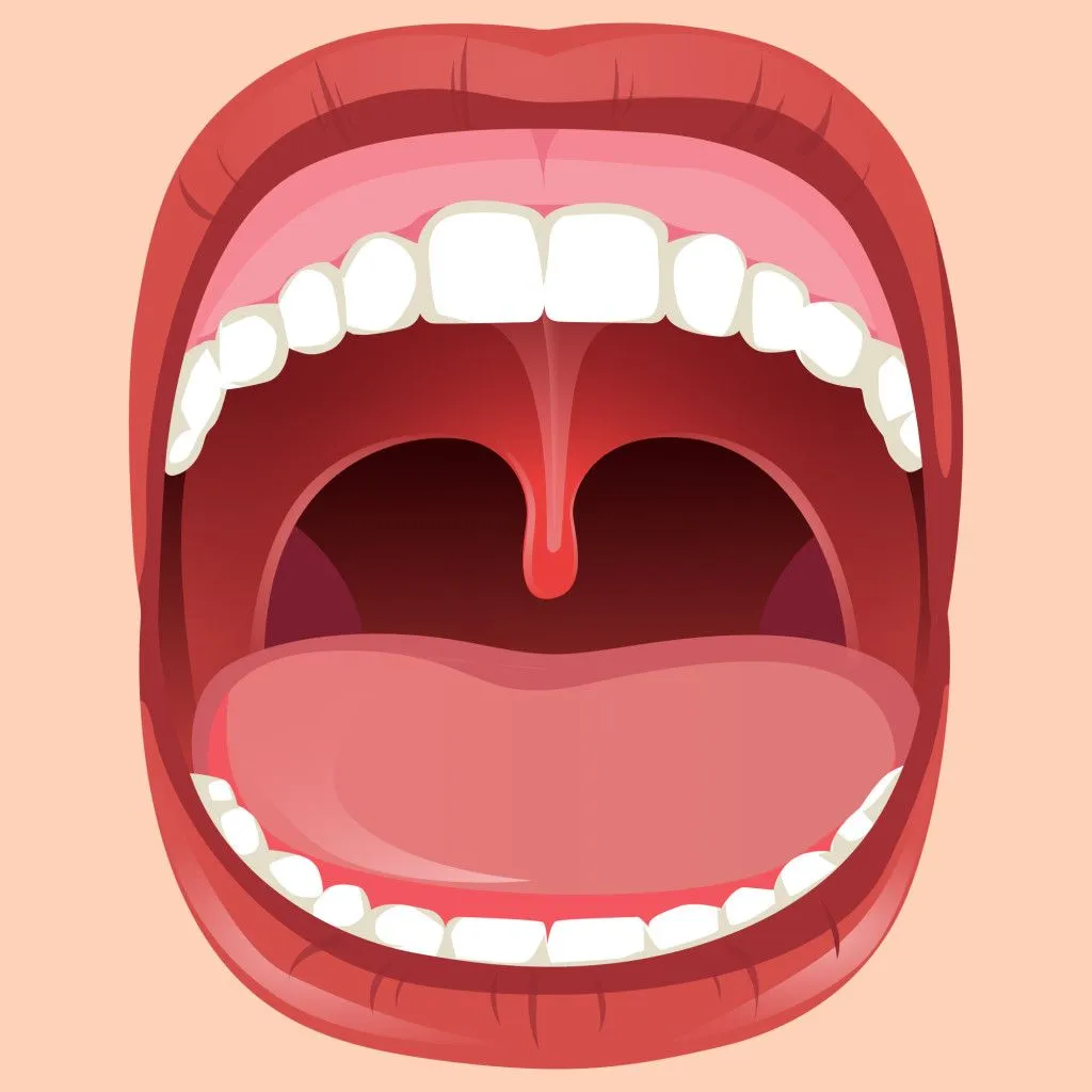 What Does The Uvula Even Do In The Body?