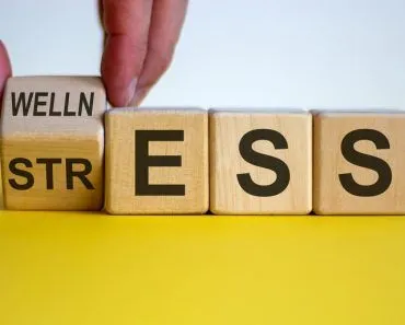 Everyday Life And Stress: How Much Do We Know?
