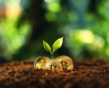 How Does Bitcoin Mining Impact The Environment?