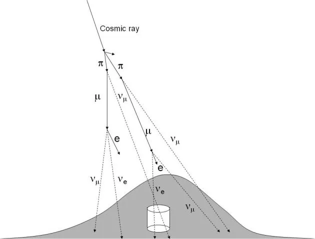This is an illustration of how neutrinos arise from the Earth’s atmosphere. Here, particles labelled with the Greek letter ‘ν’ are all neutrinos, irrespective of their subscript. (Credits: Fermilab)