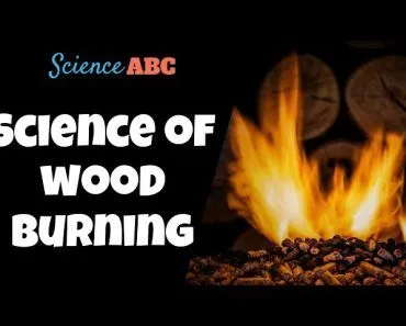 What Happens (Chemically) When Wood Burns?