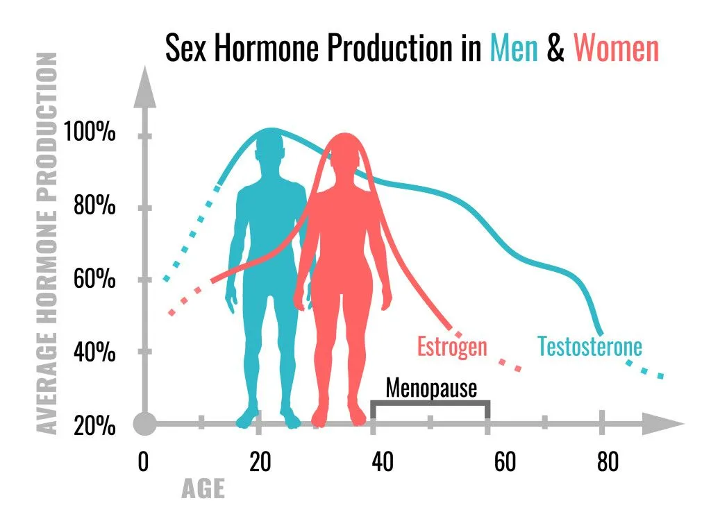 A representative graph showing the decrease in estrogen and testosterone in females and males, respectively (Credits:Double Brain/Shutterstock)