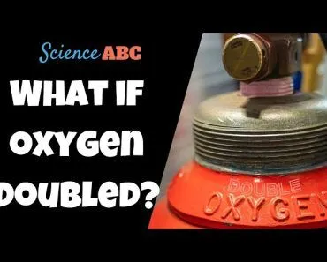 What Would Happen If The Amount Of Oxygen On Earth Doubled?
