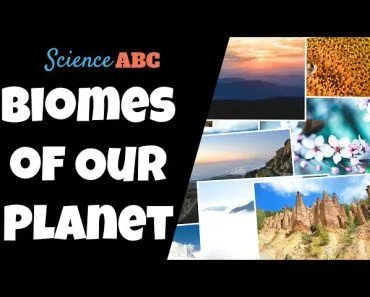 Biomes of the World: Oceans, Mountains, Forests, Grasslands, Deserts and More!
