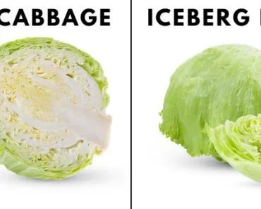 What Is The Difference Between Green Cabbage And Iceberg Lettuce?