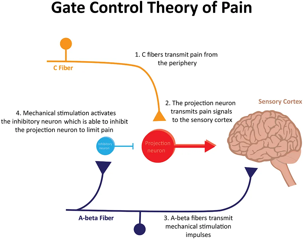 Diagrammatic representation of the GTP (Credits: joshya/Shutterstock)
