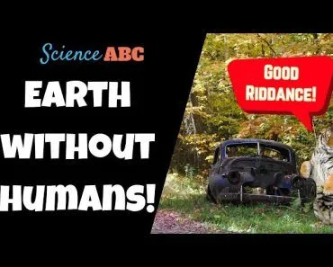 What Would Happen If Humans Suddenly Disappeared?