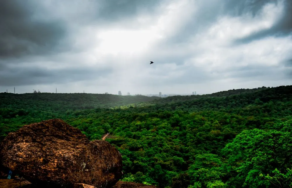 View of Mumbai from the highest point of Sanjay Gandhi National Park (Credits: Umang shrestha/Shutterstock)