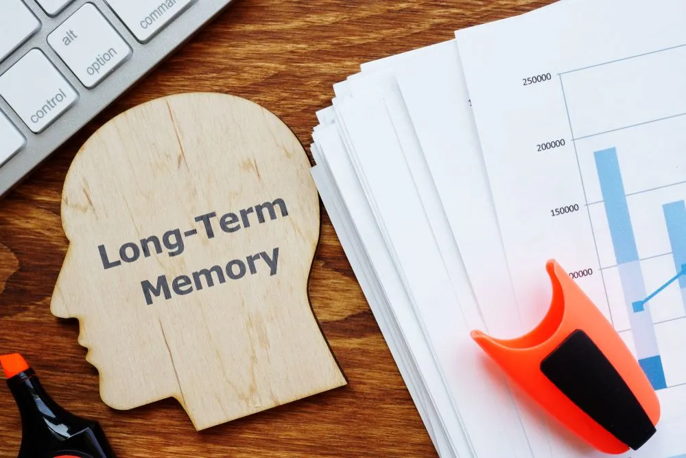 Image displaying long-term memory (Credits: Jack_the_sparow/Shutterstock)