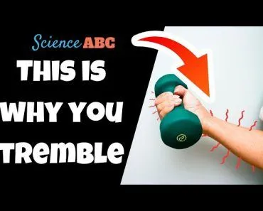 Muscle Fatigue: Why Do Muscles Tremble When Lifting?