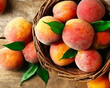 Is A Peach A Fuzzy Nectarine?