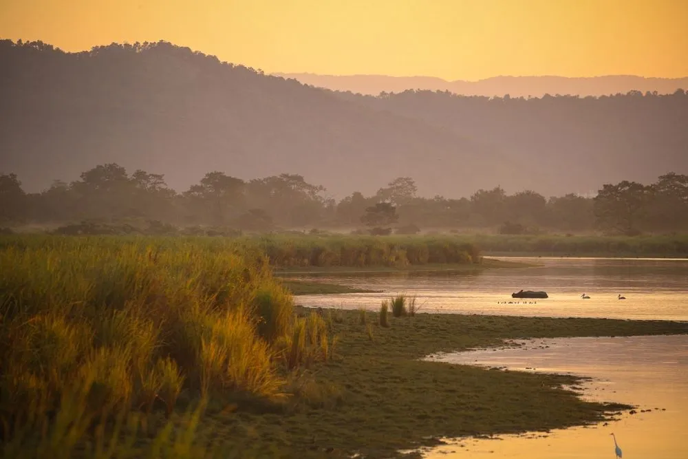 The Terai-Duars Savanna and Grasslands are located in the alluvial plains at the foothills of Himalayas (Credits: PhotocechCZ/Shutterstock)