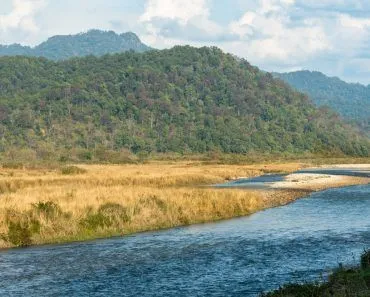 What Do We Know About The Terai-Duar, The Savanna At The Foothills Of The Himalayas?