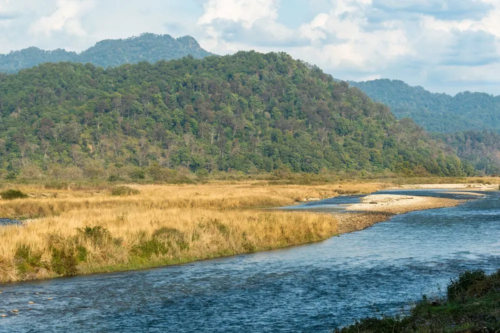 What Do We Know About The Terai-Duar, The Savanna At The Foothills Of The Himalayas?