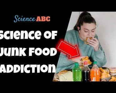 Why Can't We Resist Burgers, Chips, Fries, and Other Junk Food?