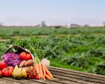 Do Organic Farms Use Chemicals?