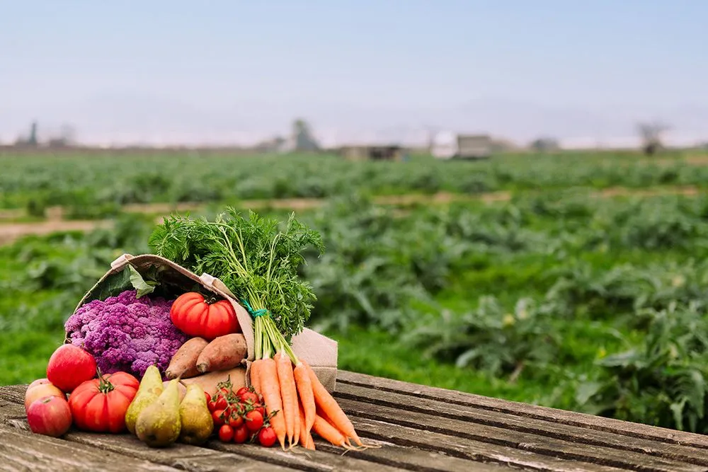Do Organic Farms Use Chemicals?