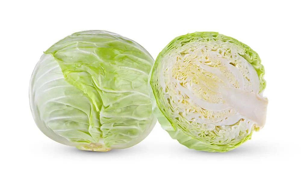 A cabbage cut open. The leaves are dense and compact (Credits: sommai/Envato Elements)