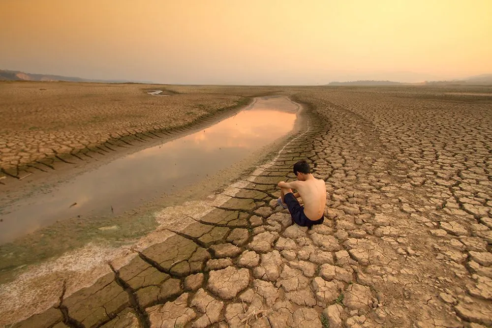 As climate change becomes a reality, we need to identify crops that will be able to survive extreme conditions (Credits:vhotomax/Freepik)