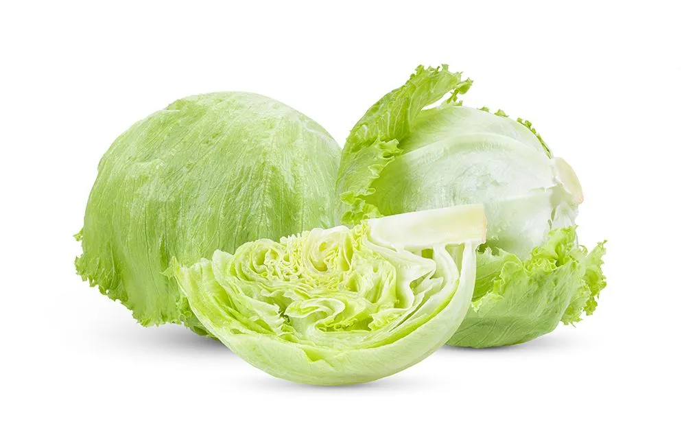 Leaves of the iceberg lettuce are loosely arranged (Credits: spamas/Envato Elements)