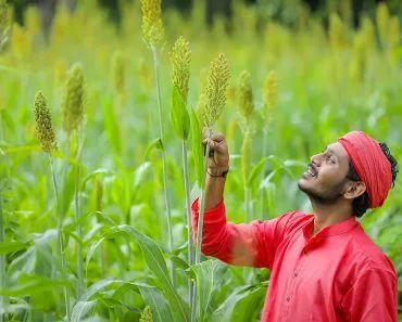 Is The Humble Millet ‘The Future Of Food’?