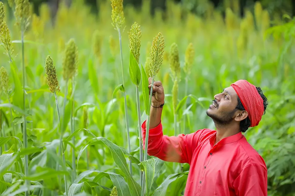 Is The Humble Millet 'The Future Of Food'?