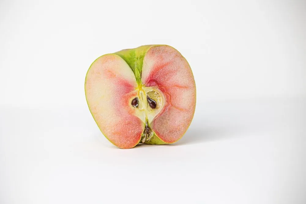 Lucy Glo apple cut in half to show its pinkish flesh (Credits: Ursula Page/Shutterstock)