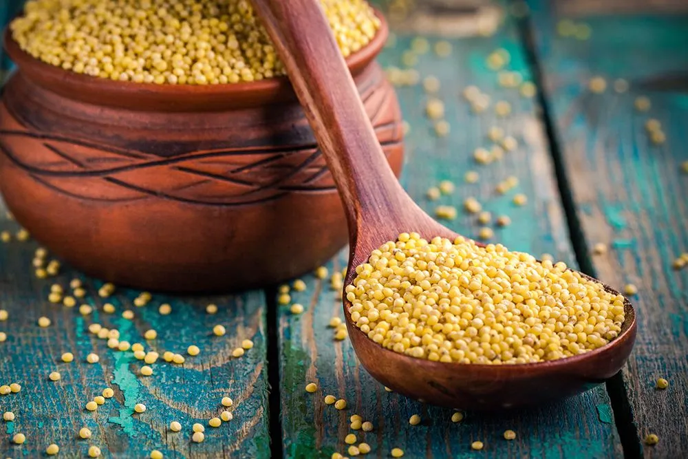 Millets are healthier and more climate resilient than the staple cereals. (Credits: nblxer/Envato Elements)